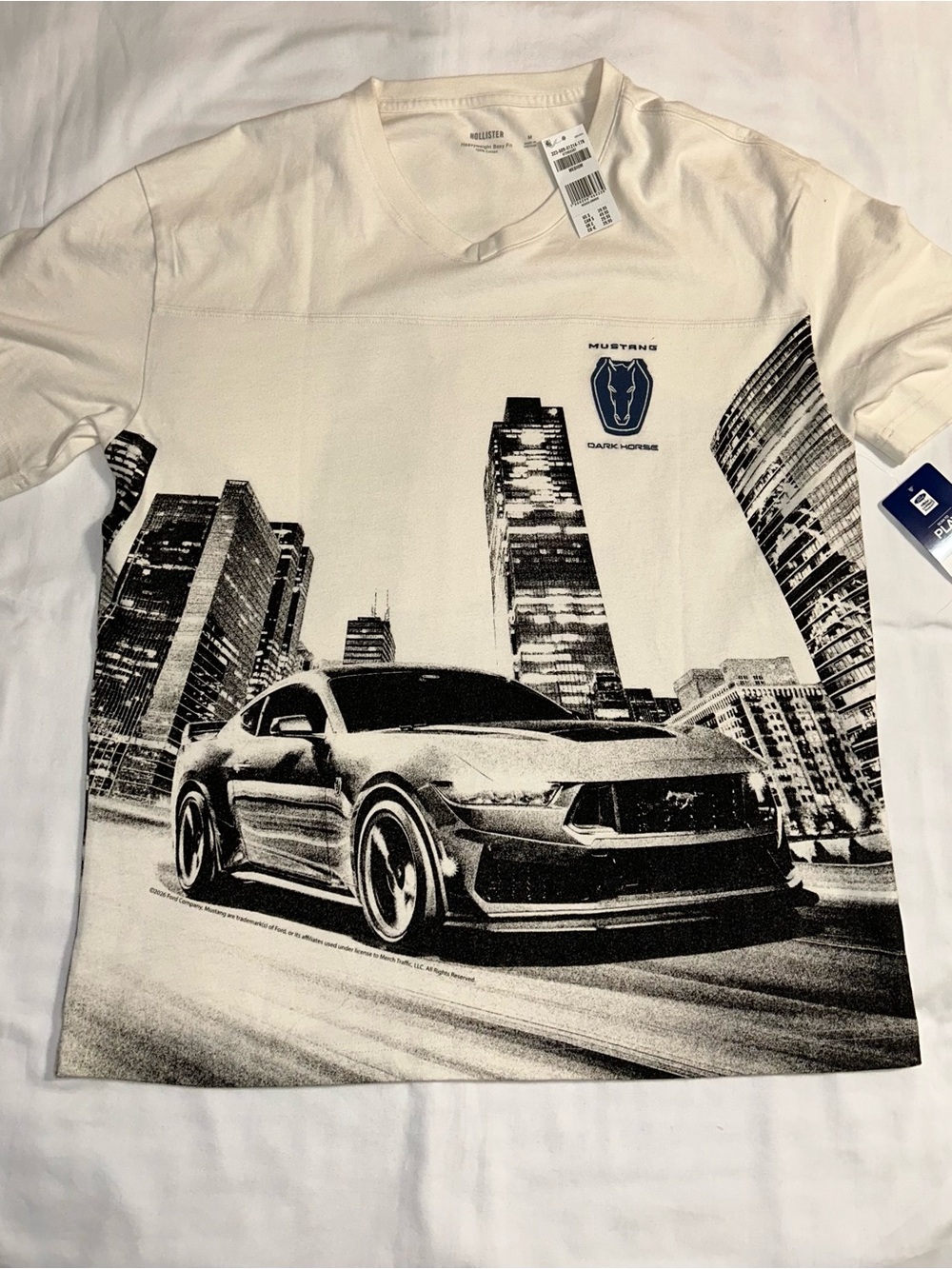 Hollister Heavyweight Boxy Vneck